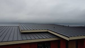 Best Metal Roofing Installation  in Black Diamond, FL